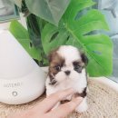 브리더하우스 이미지