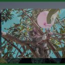 마하생태관광지 이미지