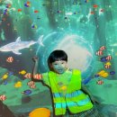 해뜨는유치원 이미지