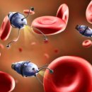 셀레스트메디컬 이미지