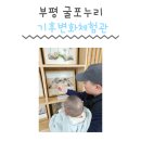 부평 굴포누리 기후변화체험관 | 인천 부평구 굴포누리 기후변화체험관 실내 아기데리고 가볼만한 곳 굴포천 산책 입장료 수유실 솔직후기