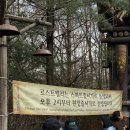 아이랑 에버랜드 윈터토피아 즐기기(로스트밸리 현장줄서기, 나비체험관)