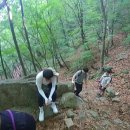 탑조경 - 광진구 동일로58길 20-6 | 탑조경