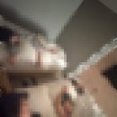 세븐일레븐 경주터미널점 이미지