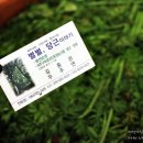 별별,당근이야기 이미지