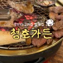 청호목욕탕 | 부산 광안리 고기집 청호가든 숯불 돼지고기에 하이볼까지 맛있는 찐맛집 추천