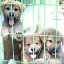 센텀동물메디컬센터 이미지