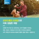 라이프플러스스타일 이미지