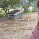 휘닉스민박 이미지