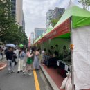 2024 서울세계도시문화축제 푸드존 후기