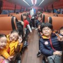 용인대 태풍태권도 | 2018 한국음악줄넘기 및 태권줄넘기선수권대회,~~이은영 심판되다.