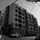 신선동-11 이미지