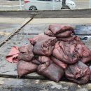 경북엘피지충전소 이미지