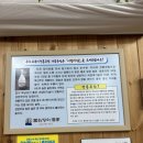 늘푸른민박 | 울릉도 나리분지 맛집 추천! 삼나물 정식과 씨껍데기 막걸리까지 - 늘푸른산장 후기