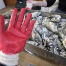 (주)한국타이어제철판매 | 천안 두정동 맛집 &#39;왕새우나라&#39; :: 제철 석화찜 &amp; 왕새우소금구이 후기🧡