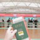 (주)대신항공여행사 | 튀르키예 여행 이스탄불 항공권 직항 예매 터키항공 후기
