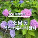 소담동복합커뮤니티 센터 | 세종 소담동 꽃구경 :: 아이랑 가볼만한 곳 꽃놀이 :: 소담동 복합커뮤니티센터 수국