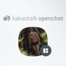 땀샘휘트니스 이미지