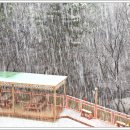 신도펜션 이미지