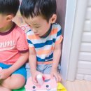 The 놀자