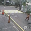 이씨족발 연합뉴스