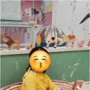 퐁당밀가루