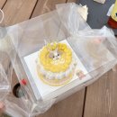 멍쭈냥 | 의정부 강아지 생일 제작 케이크 멍쭈냥 #수제간식 #입체케이크