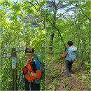 세 개의 봉우리가 솟아오른 충북 제천 삼봉산(三峰山)산행일기