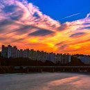 황혼의 엘레지 - 청솔 이미지