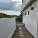 스테이마레 이미지