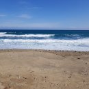 남정오토 이미지