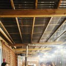 슬로우팜체험펜션 이미지