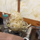 MTV프라자 | 거북섬 맛집 추천 귀여운 시츄 미미가 반겨주는 아지트 같은 술집 '청춘닭발'