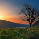 국토보상 행정사 사무소 이미지