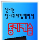 다윤월드(주) 이미지