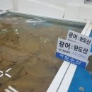 금호수산 이미지