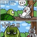 토끼와거북이 이미지