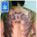 천사날개 이미지