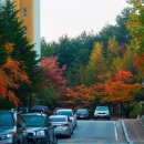 칠전서길 이미지