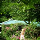 동광리-13 이미지