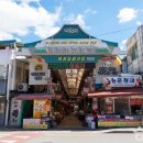 거창(광주) 이미지