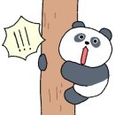 팬더베이프 이미지