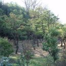 입석마을 이미지