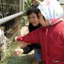 희원농장 이미지