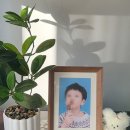 서산사진관