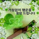 아이예뻐라 Daum카페