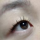 [네일리앤래쉬] 약수역 속눈썹 연장 리얼후기 💖 자연미+화려함까지 완벽!