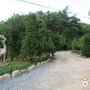 사발소캠핑장 이미지