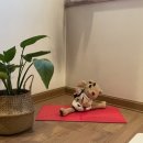 은솔약국 이미지