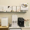 고양이의 산책:묘책 이미지